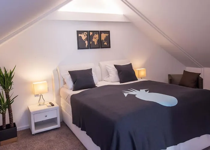 Boardinghouse Lägenhetshotell Mannheim